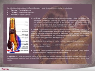 Ligação Salina:
1. CUTÍCULA - Camada externa do fio de cabelo formada por células tipo escamas que
sobrepostas protegem a estrutura. Elas mantêm-se unidas através das ceramidas e
dos lipídeos intercelulares. A cutícula é queratinizada com alta concentração de
enxofre, funcionando como uma barreira protetora para o córtex e a medula. É
responsável pelo brilho, maciez e penteabilidade dos cabelos.
2. CÓRTEX – Região intermediária onde transformamos de todas as formas, a estrutura do
cabelo. O Córtex pode apresentar até 90% do peso da fibra. É uma camada composta de
feixes de queratina repletos de grânulos de melanina e unidos por uma cola biológica.
Estas células contêm pigmentos que causam a origem da cor natural dos cabelos. Nessa
região encontramos as seguintes ligações químicas:
 Ligação Salina: No simples ato de molhar o cabelo a sua extensão é aumentada;
 Ligação de Hidrogênio: A deformação acontece quando transformamos
temporariamente o cabelo;
 Ligação de Enxofre ( também conhecida como Ponte de Dissulfeto ): Só é rompida
através de química e sua transformação é permanente.
Ao microscópio ampliado, milhares de vezes , cada fio possui três estruturas principais:
 Cutícula – Camada Externa
 Córtex – Camada Intermediária
 Medula – Camada Central
.
3. MEDULA – É a parte central do fio. Há fios de cabelos que não possuem medula, não modificando em nada sua estrutura. O
canal da medula pode estar vazio ou preenchido de componentes esponjosos. As pesquisas não determinam a função desta
região.
 