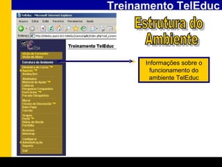 Treinamento TelEduc Estrutura do Ambiente Informações sobre o funcionamento do ambiente TelEduc 