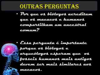 Outras perguntas
• Por que os biólogos acreditam
  que os macacos e humanos
  compartilham um ancestral
  comum?

• Essa pergunta é importante
  porque os biólogos e
  arqueólogos esperam que os
  fosseis humanos mais antigos
  devem ser mais similares aos
  macacos.
 