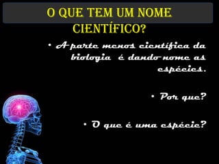 O que tem um nome
    científico?
• A parte menos científica da
    biologia é dando nome as
                    espécies.

                  • Por que?

      • O que é uma espécie?
 