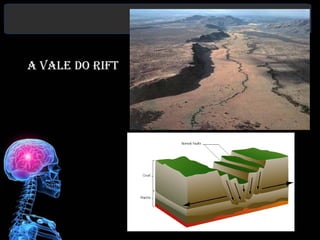 A Vale do Rift




                                exploringafrica.matrix.msu.edu




       images.encarta.msn.com
 