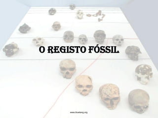 O Registo Fóssil




      www.bluetang.org
 