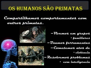 Os Humanos são Primatas
Compartilhamos comportamentos com
 outros primatas.
                         images.encarta.msn.com



                   –Vivemos em grupos
                               • familiares
                 –Usamos ferramentas
                  –Cometemos atos de
                                  • violência
                –Resolvemos problemas
                       • com inteligência
                           f.screensavers.com
 