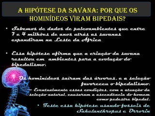 A Hipótese da Savana: Por que os
       Hominídeos viram bipedais?
• Sabemos de dados de paleoambientes que entre
  7 e 4 milhões de anos atrás as savanas
  expandiram na Leste da África

• Essa hipótese afirma que a criação da savana
  resultou em ambientes para a evolução do
  bipedalismo.

  • Os hominídeos saíram das árvores, e a seleção
                        favoreceu o bipedalismo.
       – Eventualmente essas condições, com a atuação da
       seleção natural, causaram a ascendência do homem
                                   como pedestre bipedal.
          • Teste essa hipótese usando fosseis de
                       Sahelanthropus e Orrorin
 