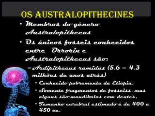 Os Australopithecines
• Membros do gênero
 Australopithecus
• Os únicos fosseis conhecidos
  entre Orrorin e
  Australopithecus são:
  – Ardipithecus ramidus (5.6 – 4.3
    milhões de anos atrás)
    • Conhecido pobremente da Etiópia.
    • Somente fragmentos de fosseiss, mas
      alguns são mandíbulas com dentes.
    • Tamanho cerebral estimado é de 400 a
      450 cc.
 