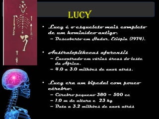 Lucy
• Lucy é o esqueleto mais completo
  de um hominídeo antigo.
  – Descoberto em Hadar, Etiópia (1974).


• Australopithecus afarensis
  – Encontrado em várias áreas do leste
    da África.
  – 4.0 a 3.0 milhões de anos atrás.


• Lucy era um bipedal com pouco
  cérebro.
  – Cérebro pequeno 380 – 500 cc
  – 1,0 m de altura e 23 kg
  – Data a 3.2 milhões de anos atrás
 