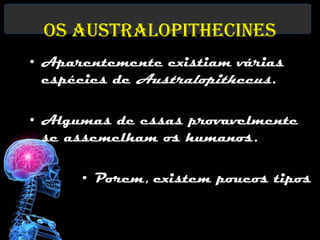 Os Australopithecines
• Aparentemente existiam várias
  espécies de Australopithecus.

• Algumas de essas provavelmente
  se assemelham os humanos.

      • Porem, existem poucos tipos
 