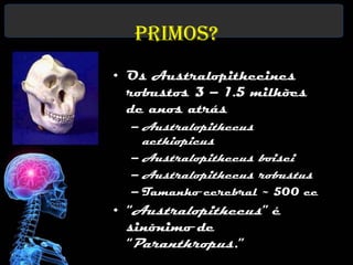 Primos?
• Os Australopithecines
  robustos 3 – 1.5 milhões
  de anos atrás
  – Australopithecus
    aethiopicus
  – Australopithecus boisei
  – Australopithecus robustus
                       www.portalciencia.net/
  – Tamanho cerebral ~ 500 cc
• “Australopithecus” é
  sinônimo de
  “Paranthropus.”
 