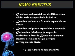 Homo erectus
• O volume endocranial era de 880cc., e um
  adulto teria a capacidade de 910 cc.
• Lóbulos parietais e frontais expandids ao
  direto
• Lóbulos occipitais expandidas a esquerda
• Os lóbulos inferiores de esquerda,
  assinados a área de Broca nos humanos
  modernos, é maior do que a região
  correspondente direto.

        * Capacidades de linguagem???
 