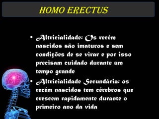 Homo erectus

• Altricialidade: Os recém
  nascidos são imaturos e sem
  condições de se virar e por isso
  precisam cuidado durante um
  tempo grande
• Altricialidade Secundária: os
  recém nascidos tem cérebros que
  crescem rapidamente durante o
  primeiro ano da vida
 