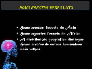 Homo erectus sensu lato



• Homo erectus: fosseis da Ásia
• Homo ergaster: fosseis da África
• A distribuição geográfica distingue
  Homo erectus de outros hominídeos
  mais velhos
 