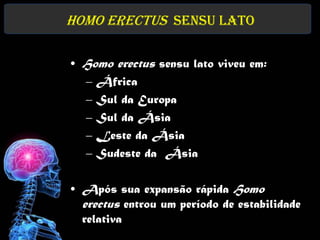Homo erectus sensu lato

• Homo erectus sensu lato viveu em:
  – África
  – Sul da Europa
  – Sul da Ásia
  – Leste da Ásia
  – Sudeste da Ásia

• Após sua expansão rápida Homo
  erectus entrou um período de estabilidade
  relativa
 