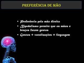 Preferência de mão



• Preferência pelo mão direito
• Bipedalismo permite que os mãos e
  braços fazem gestos
• Gestos + vocalizações = linguagem
 