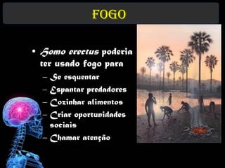 Fogo

• Homo erectus poderia
  ter usado fogo para
  – Se esquentar
  – Espantar predadores
  – Cozinhar alimentos
  – Criar oportunidades
    sociais
  – Chamar atenção
 