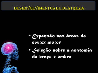 Desenvolviment0s de destreza




     • Expansão nas áreas do
       córtex motor
     • Seleção sobre a anatomia
       do braço e ombro
 