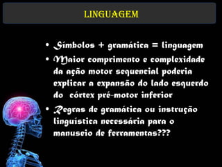 Linguagem


• Símbolos + gramática = linguagem
• Maior comprimento e complexidade
  da ação motor sequencial poderia
  explicar a expansão do lado esquerdo
  do córtex pré-motor inferior
• Regras de gramática ou instrução
  linguística necessária para o
  manuseio de ferramentas???
 