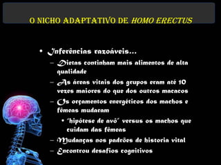 O nicho adaptativo de Homo erectus


 • Inferências razoáveis…
    – Dietas continham mais alimentos de alta
      qualidade
    – As áreas vitais dos grupos eram até 10
      vezes maiores do que dos outros macacos
    – Os orçamentos energéticos dos machos e
      fêmeas mudaram
       • “hipótese de avô” versus os machos que
         cuidam das fêmeas
    – Mudanças nos padrões de historia vital
    – Encontrou desafios cognitivos
 