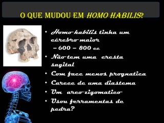 O que mudou em Homo habilis?
     • Homo habilis tinha um
       cérebro maior
       – 600 – 800 cc
     • Não tem uma cr...