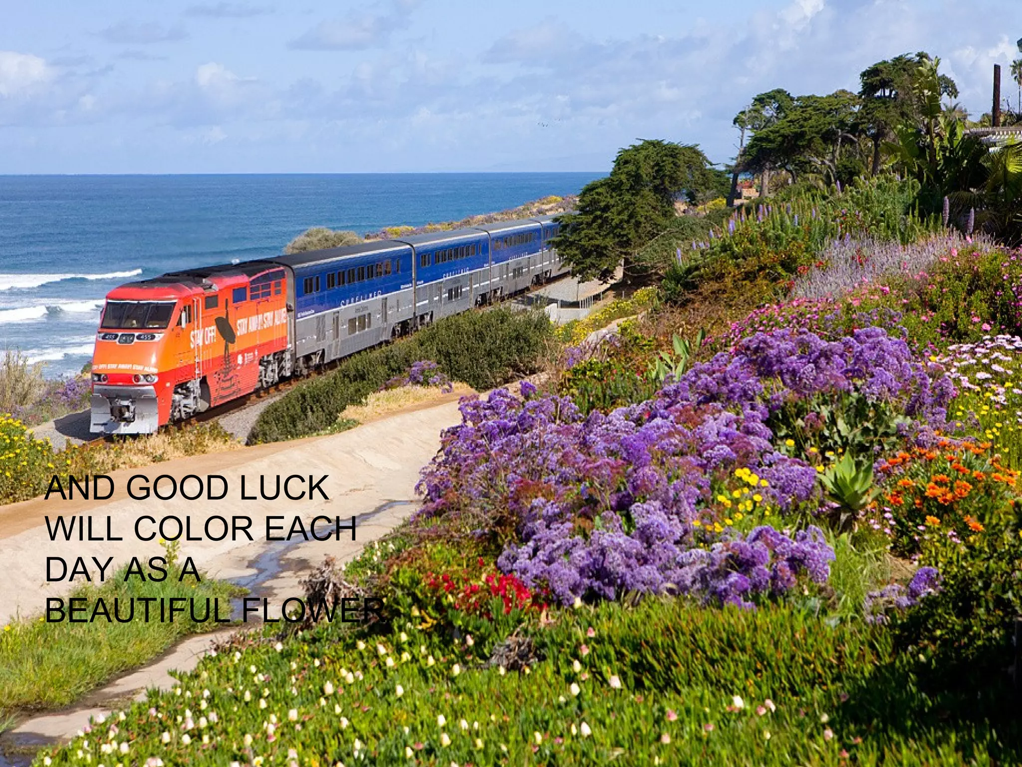 AND GOOD LUCK
WILL COLOR EACH
DAY AS A
BEAUTIFUL FLOWER
 