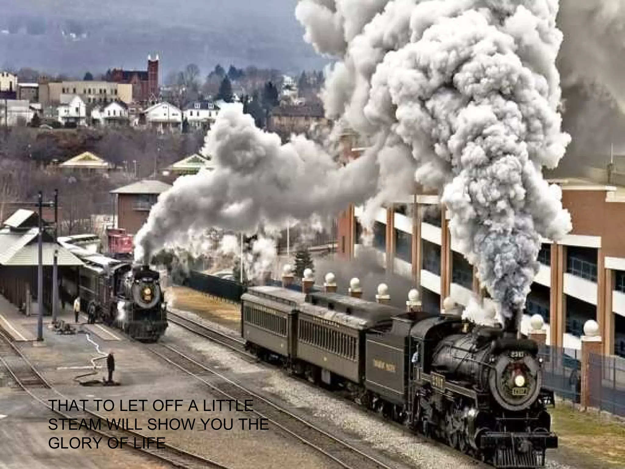 THAT TO LET OFF A LITTLE STEAM WILL SHOW YOU THE GLORY OF LIFE 