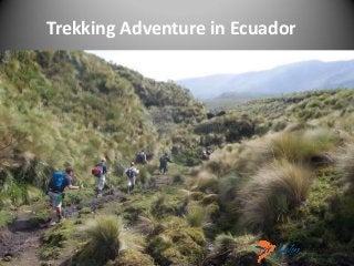 Trekking Adventure in Ecuador
 