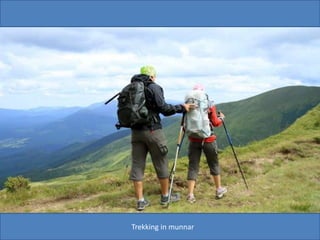 Trekking in munnar
 