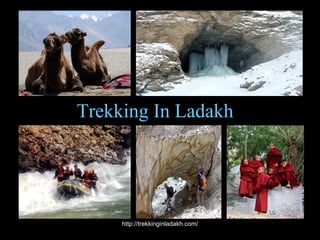 Trekking In Ladakh    