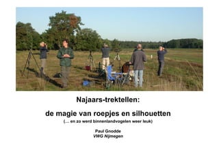 Najaars-trektellen:
de magie van roepjes en silhouetten
     (… en zo werd binnenlandvogelen weer leuk)

                   Paul Gnodde
                  VWG Nijmegen
 