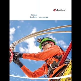 Treleven Photography XCEL ENERGY Annual Report