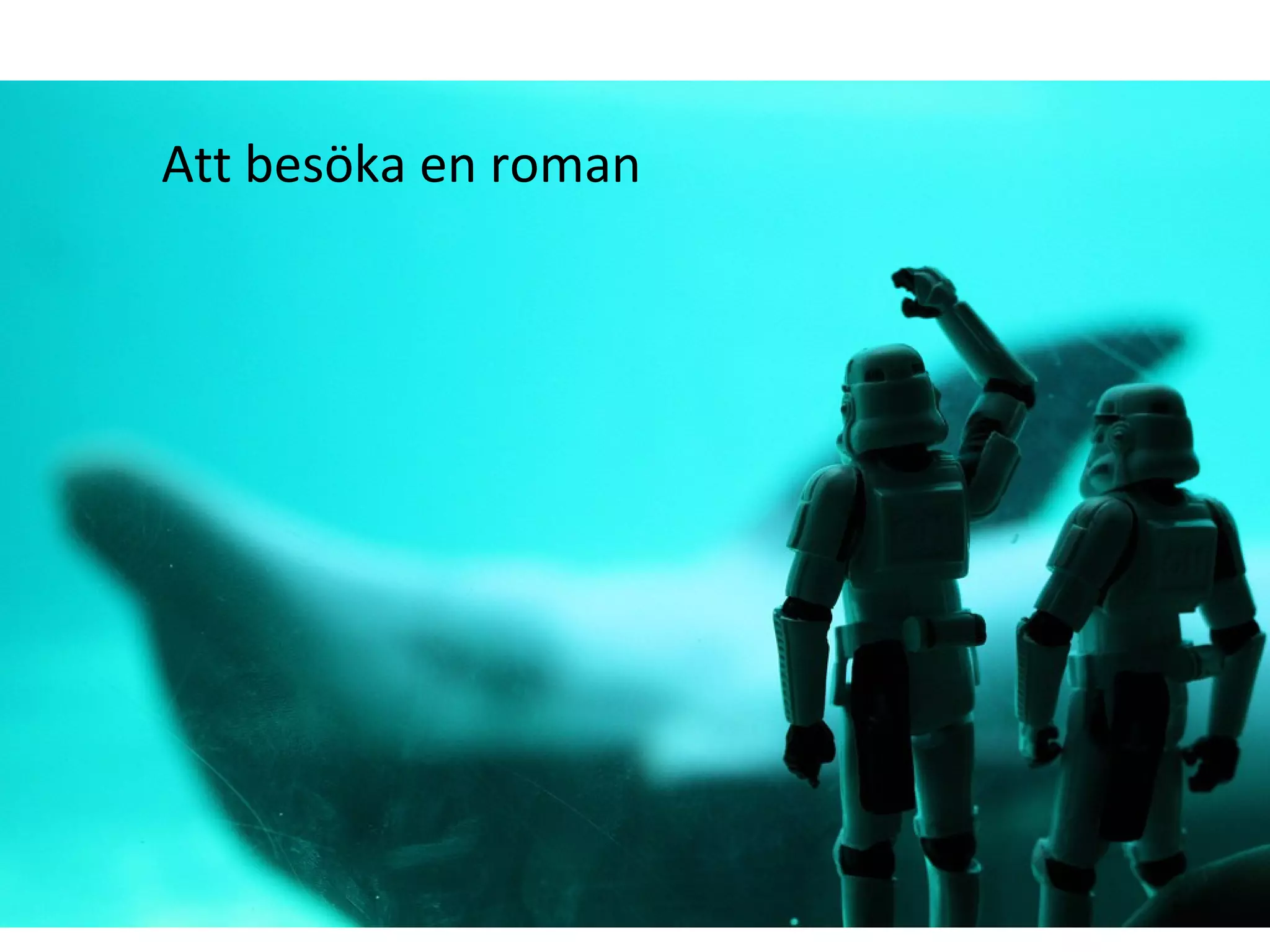 Att besöka en roman 