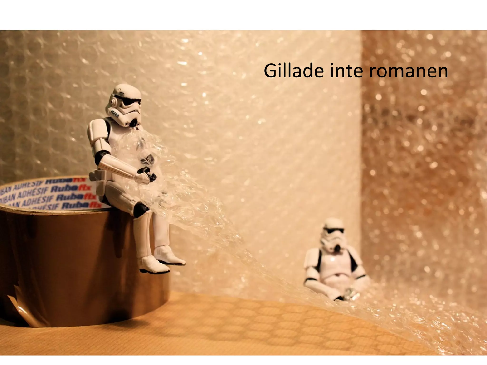 Gillade inte romanen 