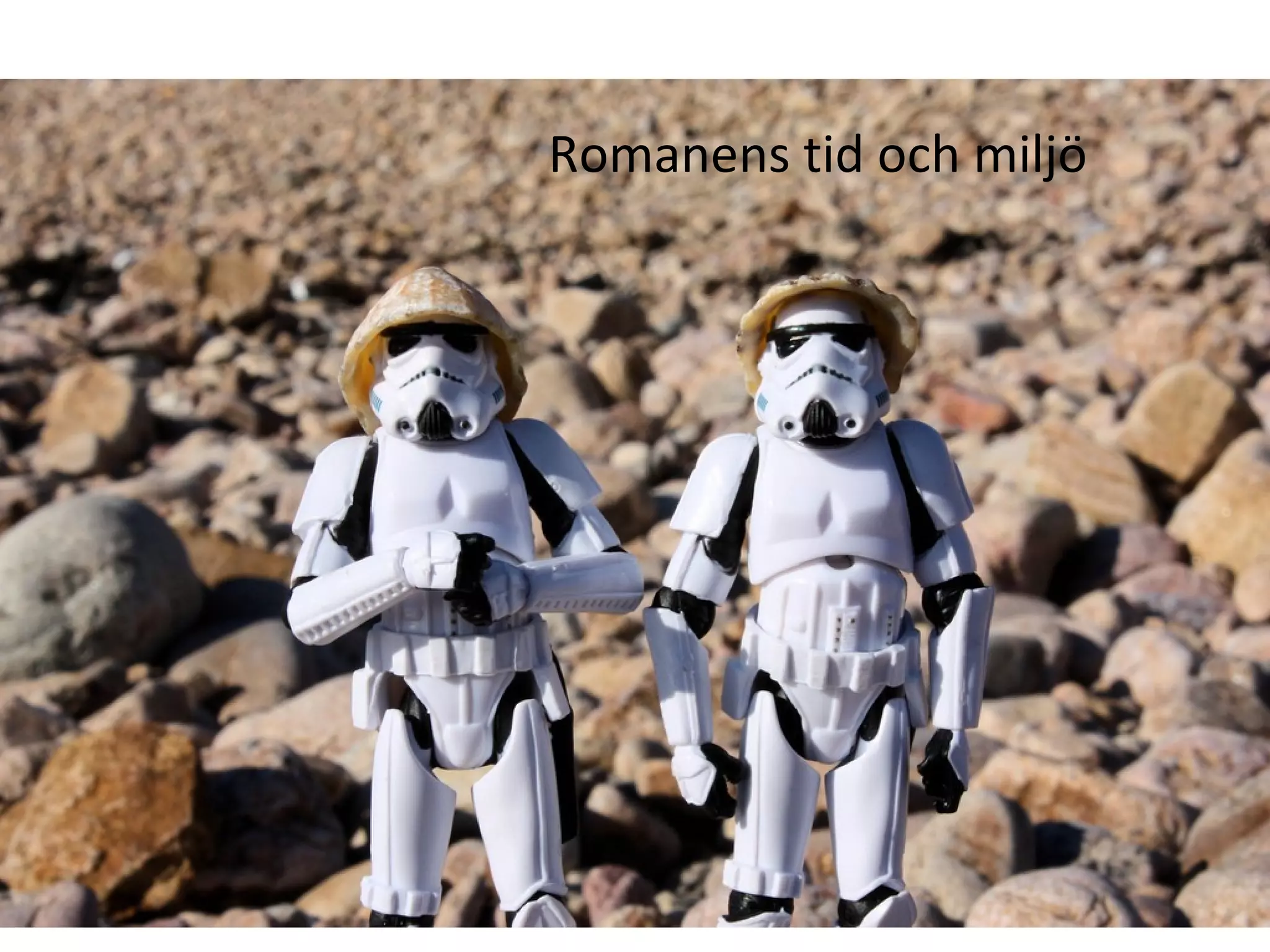 Romanens tid och miljö 