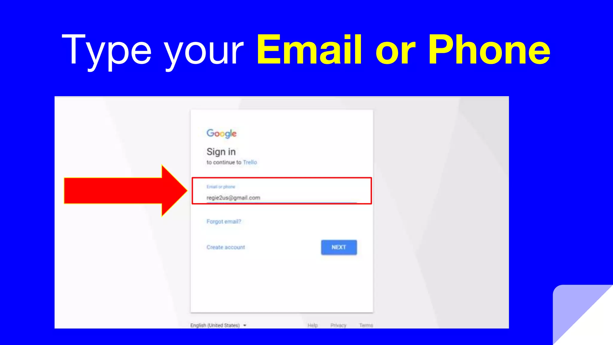 Type your Email or Phone
 