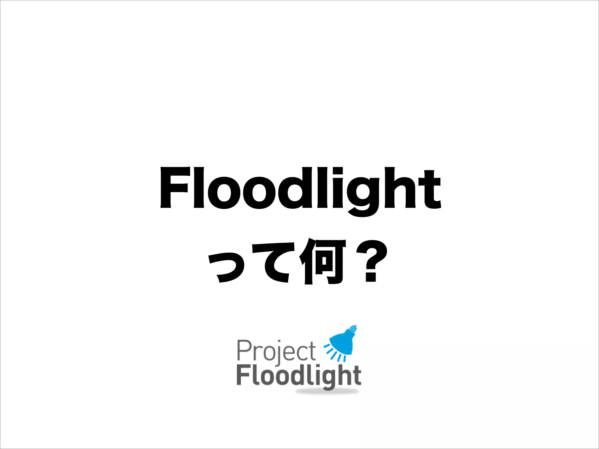 Floodlight
って何？

 