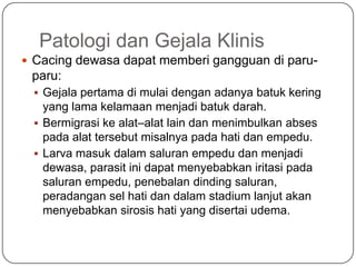 Patologi dan Gejala Klinis
 Cacing dewasa dapat memberi gangguan di paru-
 paru:
  Gejala pertama di mulai dengan adanya batuk kering
   yang lama kelamaan menjadi batuk darah.
  Bermigrasi ke alat–alat lain dan menimbulkan abses
   pada alat tersebut misalnya pada hati dan empedu.
  Larva masuk dalam saluran empedu dan menjadi
   dewasa, parasit ini dapat menyebabkan iritasi pada
   saluran empedu, penebalan dinding saluran,
   peradangan sel hati dan dalam stadium lanjut akan
   menyebabkan sirosis hati yang disertai udema.
 