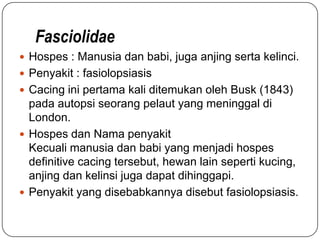 Fasciolidae
 Hospes : Manusia dan babi, juga anjing serta kelinci.
 Penyakit : fasiolopsiasis
 Cacing ini pertama kali ditemukan oleh Busk (1843)
  pada autopsi seorang pelaut yang meninggal di
  London.
 Hospes dan Nama penyakit
  Kecuali manusia dan babi yang menjadi hospes
  definitive cacing tersebut, hewan lain seperti kucing,
  anjing dan kelinsi juga dapat dihinggapi.
 Penyakit yang disebabkannya disebut fasiolopsiasis.
 