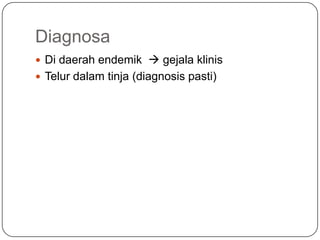 Diagnosa
 Di daerah endemik  gejala klinis
 Telur dalam tinja (diagnosis pasti)
 