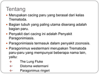 Tentang
 Merupakan cacing paru yang berasal dari kelas
    Trematoda.
   Bagian tubuh yang paling utama diserang adalah
    bagian paru.
   Penyakit dari cacing ini adalah Penyakit
    Paragonimiasis.
   Paragonimiasis termasuk dalam penyakit zoonosis.
   Paragonimus westermani merupakan Trematoda
    paru-paru yang mempunyai beberapa nama lain,
    yaitu:
         The Lung Fluke
    ·    Distoma wetermani
    ·    Paragonimus ringeri
 