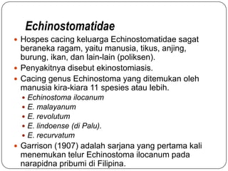 Echinostomatidae
 Hospes cacing keluarga Echinostomatidae sagat
  beraneka ragam, yaitu manusia, tikus, anjing,
  burung, ikan, dan lain-lain (poliksen).
 Penyakitnya disebut ekinostomiasis.
 Cacing genus Echinostoma yang ditemukan oleh
  manusia kira-kiara 11 spesies atau lebih.
     Echinostoma ilocanum
     E. malayanum
     E. revolutum
     E. lindoense (di Palu).
     E. recurvatum
 Garrison (1907) adalah sarjana yang pertama kali
 menemukan telur Echinostoma ilocanum pada
 narapidna pribumi di Filipina.
 