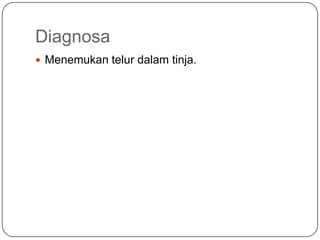 Diagnosa
 Menemukan telur dalam tinja.
 
