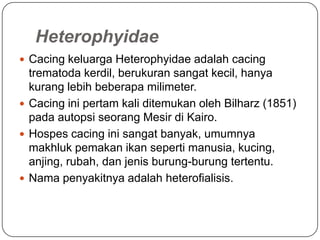 Heterophyidae
 Cacing keluarga Heterophyidae adalah cacing
  trematoda kerdil, berukuran sangat kecil, hanya
  kurang lebih beberapa milimeter.
 Cacing ini pertam kali ditemukan oleh Bilharz (1851)
  pada autopsi seorang Mesir di Kairo.
 Hospes cacing ini sangat banyak, umumnya
  makhluk pemakan ikan seperti manusia, kucing,
  anjing, rubah, dan jenis burung-burung tertentu.
 Nama penyakitnya adalah heterofialisis.
 