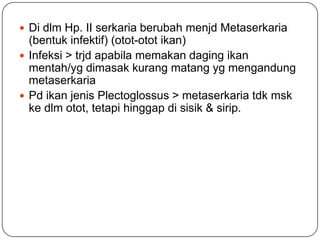  Di dlm Hp. II serkaria berubah menjd Metaserkaria
  (bentuk infektif) (otot-otot ikan)
 Infeksi > trjd apabila memakan daging ikan
  mentah/yg dimasak kurang matang yg mengandung
  metaserkaria
 Pd ikan jenis Plectoglossus > metaserkaria tdk msk
  ke dlm otot, tetapi hinggap di sisik & sirip.
 