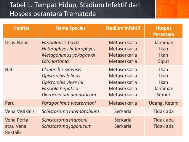 80 Gambar Telur Cacing Fasciolopsis Buski Paling Bagus 80 Gambar Telur Cacing Fasciolopsis Buski Paling Bagus