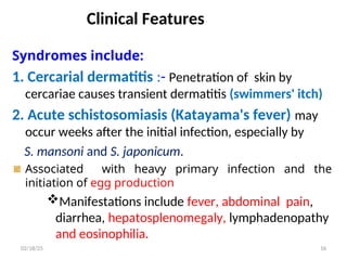 Clinical Features
Syndromes include:
1. Cercarial dermatitis :- Penetration of skin by
cercariae causes transient dermatitis (swimmers' itch)
2. Acute schistosomiasis (Katayama's fever) may
occur weeks after the initial infection, especially by
S. mansoni and S. japonicum.
Associated with heavy primary infection and the
initiation of egg production
Manifestations include fever, abdominal pain,
diarrhea, hepatosplenomegaly, lymphadenopathy
and eosinophilia.
16
02/18/25
 