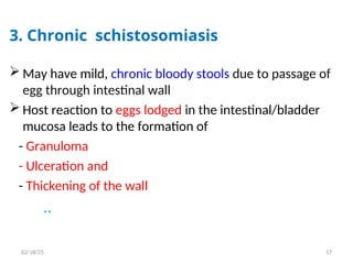 3. Chronic schistosomiasis
 May have mild, chronic bloody stools due to passage of
egg through intestinal wall
 Host reaction to eggs lodged in the intestinal/bladder
mucosa leads to the formation of
- Granuloma
- Ulceration and
- Thickening of the wall
..
17
02/18/25
 