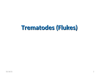 Trematodes (Flukes)
Trematodes (Flukes)
2
02/18/25
 