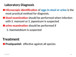 Laboratory Diagnosis
Microscopic identification of eggs in stool or urine is the
most practical method for diagnosis.
Stool examination should be performed when infection
with S. mansoni or S. japonicum is suspected
urine examination should be performed if
S. haematobium is suspected
Treatment
Praziquantel: effective against all species
20
02/18/25
 