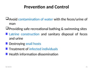 Prevention and Control
Avoid contamination of water with the feces/urine of
man
Providing safe recreational bathing & swimming sites
Latrine construction and sanitary disposal of feces
and urine
Destroying snail hosts
Treatment of infected individuals
Health information dissemination
21
02/18/25
 