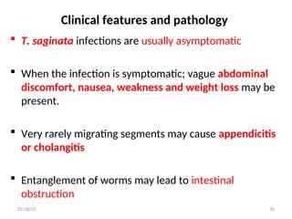Clinical features and pathology
 T. saginata infections are usually asymptomatic
 When the infection is symptomatic; vague abdominal
discomfort, nausea, weakness and weight loss may be
present.
 Very rarely migrating segments may cause appendicitis
or cholangitis
 Entanglement of worms may lead to intestinal
obstruction
35
02/18/25
 