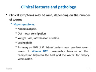 Clinical features and pathology
 Clinical symptoms may be mild, depending on the number
of worms
 Major symptoms:
 Abdominal pain
 Diarrhoea, constipation
 Weight loss, intestinal obstruction
 Eosinophilia
 As many as 40% of D. latum carriers may have low serum
levels of vitamin B12, presumably because of the
competition between the host and the worm for dietary
vitamin B12.
47
02/18/25
 